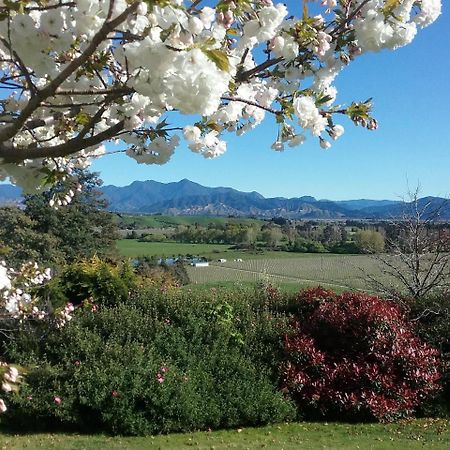 Omaka Heights Countrystay Renwick Dış mekan fotoğraf