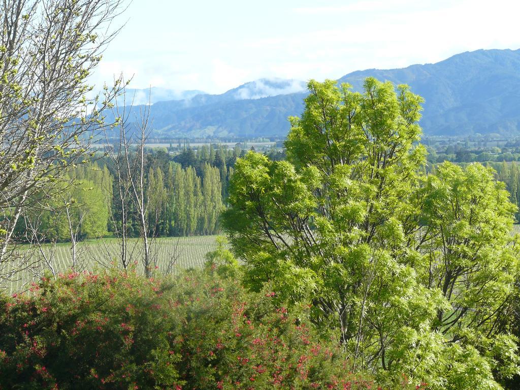 Omaka Heights Countrystay Renwick Dış mekan fotoğraf