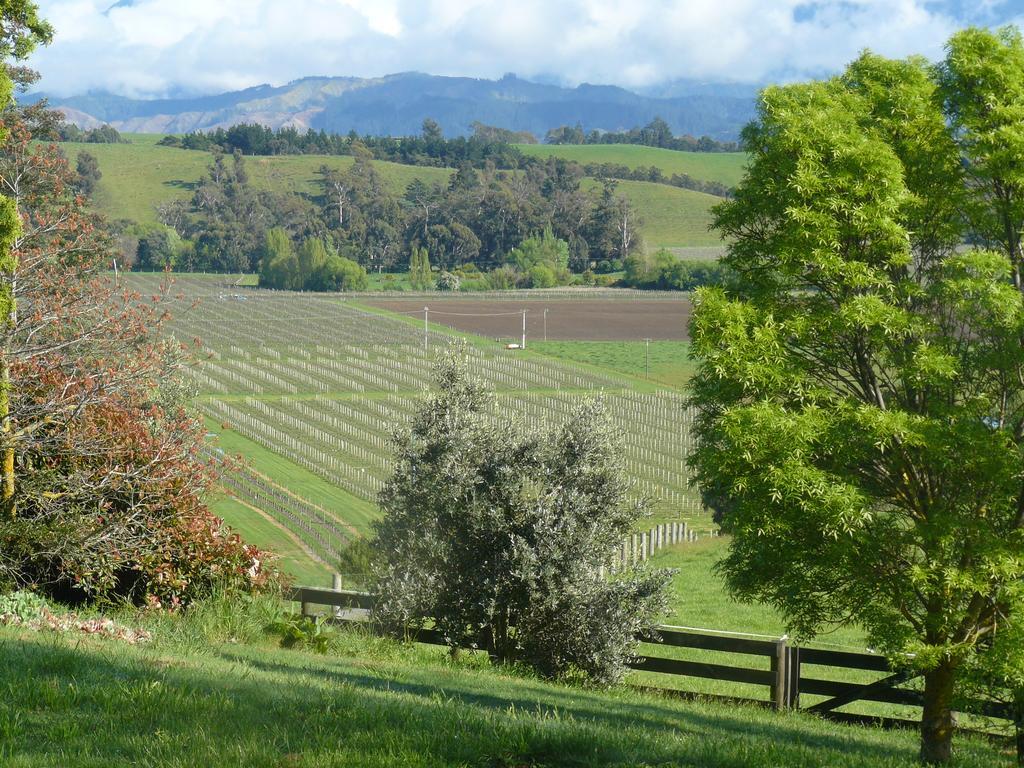 Omaka Heights Countrystay Renwick Dış mekan fotoğraf