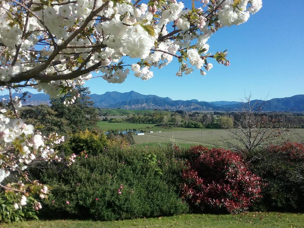 Omaka Heights Countrystay Renwick Dış mekan fotoğraf